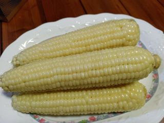 강촌지기님의 작성글 사진