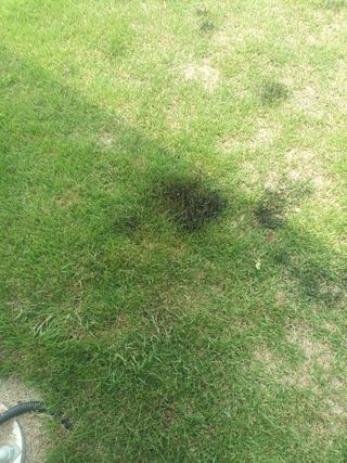 hoonkoo님의 자유주제 · 자유게시판 작성글 사진