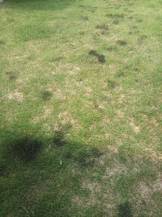 hoonkoo님의 자유주제 · 자유게시판 작성글 사진