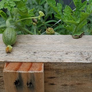 정연섭님의 자유주제 · 자유게시판 작성글 사진