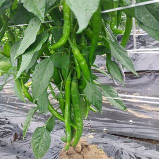 박수연님의 자유주제 · 자유게시판 작성글 사진