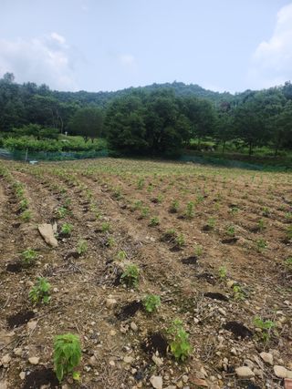 중간말님의 🎉상반기 결산 자랑하기 · 참여글 작성글 사진