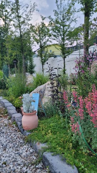 차여사농원 머슴님의 자유주제 · 자유게시판 작성글 사진