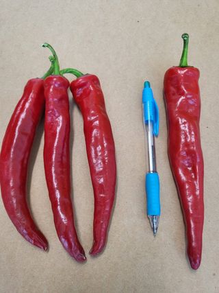 박수정님의 작성글 사진