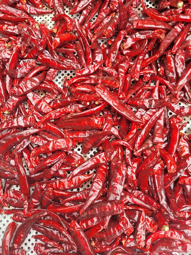 박수정님의 장터 판매 상품 [중간맛고추가루600그램] 첨부 사진