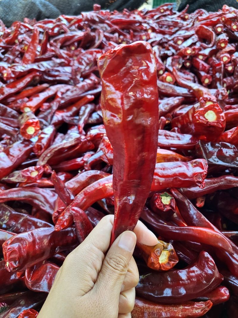 박수정님의 장터 판매 상품 [중간맛고추가루600그램] 첨부 사진