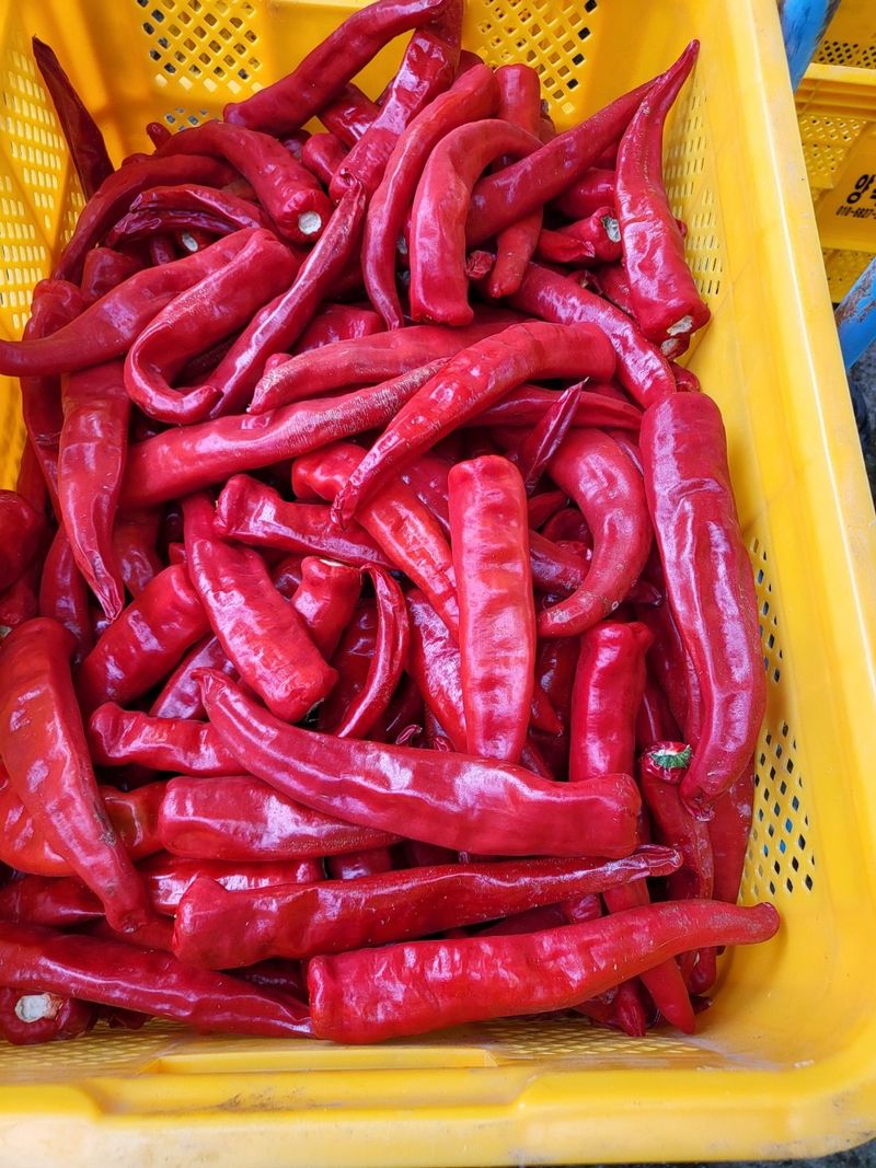 박수정님의 장터 판매 상품 [중간맛고추가루600그램] 첨부 사진