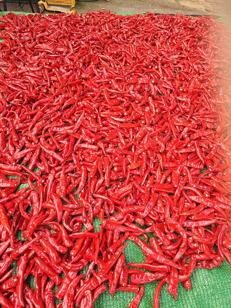 장터 상품 [중간맛고추가루600그램] 썸네일