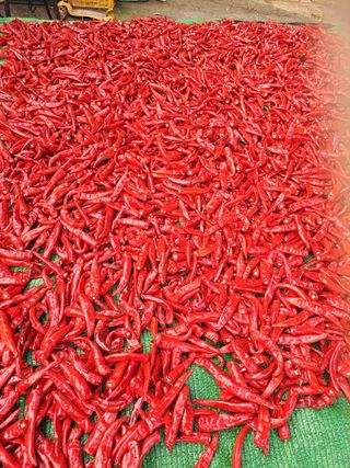 박수정님의 작성글 사진