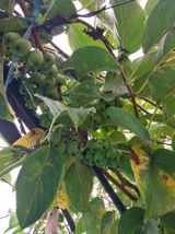 팜모닝 자유주제·자유게시판 게시글 이미지