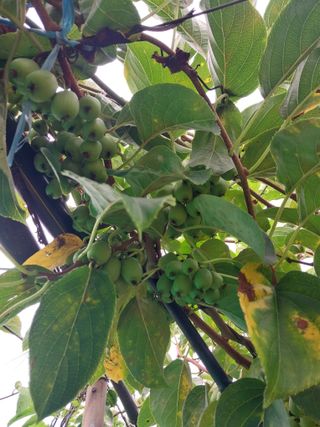 정완규님의 자유주제 · 자유게시판 작성글 사진