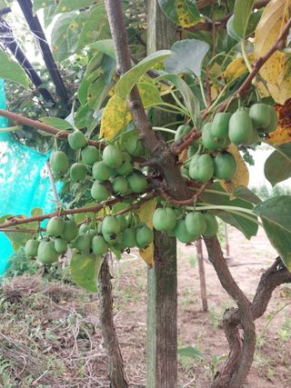 정완규님의 자유주제 · 자유게시판 작성글 사진