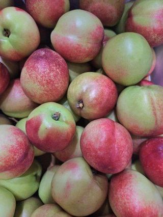 김명옥님의 작성글 사진