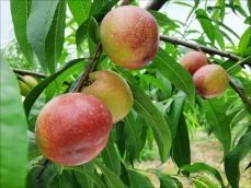 김명옥님의 작성글 사진