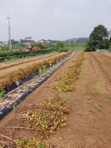 팜모닝 자유주제·자유게시판 게시글 이미지