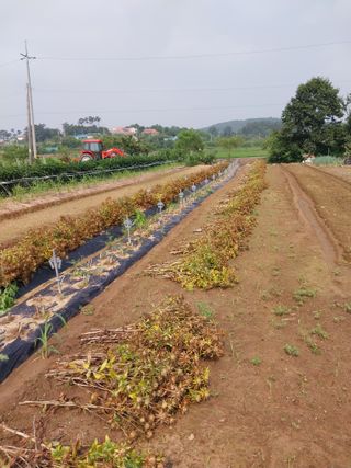 서산 밀집모자님의 자유주제 · 자유게시판 작성글 사진