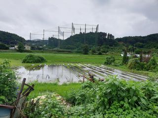 촌놈님의 자유주제 · 자유게시판 작성글 사진