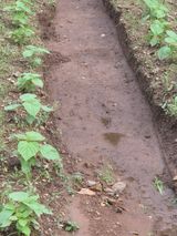 팜모닝 자유주제·자유게시판 게시글 이미지