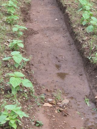 김용석님의 자유주제 · 자유게시판 작성글 사진