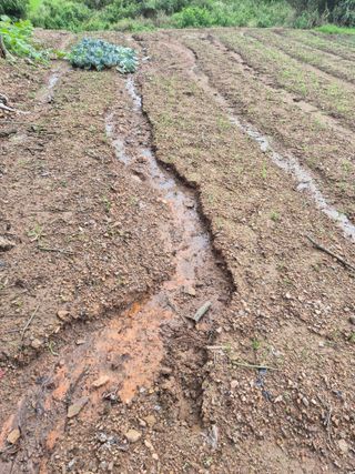 김용석님의 자유주제 · 자유게시판 작성글 사진