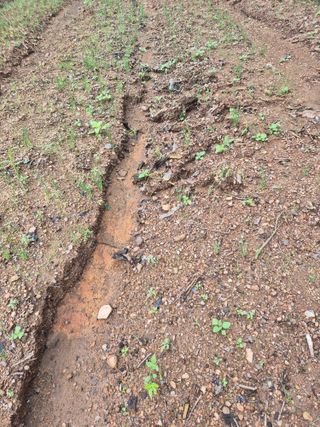 김용석님의 자유주제 · 자유게시판 작성글 사진