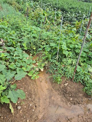 김용석님의 자유주제 · 자유게시판 작성글 사진