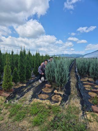 영천경마장조경수농원님의 🎉상반기 결산 자랑하기 · 참여글 작성글 사진