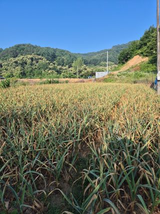 신재경님의 🎉상반기 결산 자랑하기 · 참여글 작성글 사진