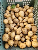 팜모닝 🎉상반기 결산 자랑하기·참여글 게시글 이미지