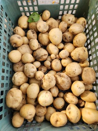 이동호님의 🎉상반기 결산 자랑하기 · 참여글 작성글 사진