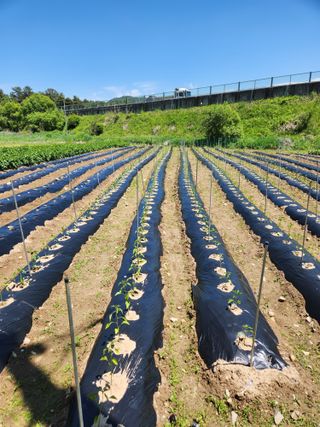 이동호님의 🎉상반기 결산 자랑하기 · 참여글 작성글 사진