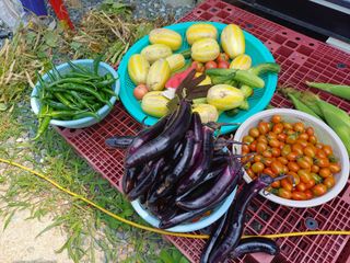 pmk1267님의 🎉상반기 결산 자랑하기 · 참여글 작성글 사진