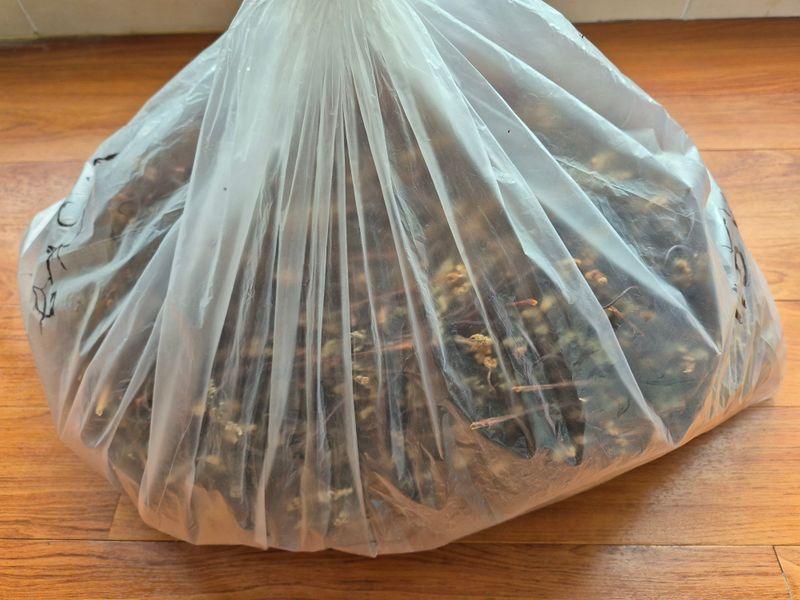 장터 상품 [말린고사리 1.5kg] 썸네일