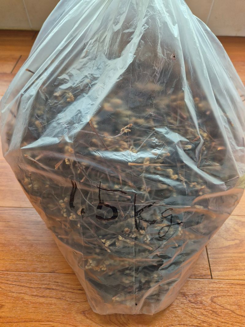 임재문님의 장터 판매 상품 [말린고사리 1.5kg] 첨부 사진