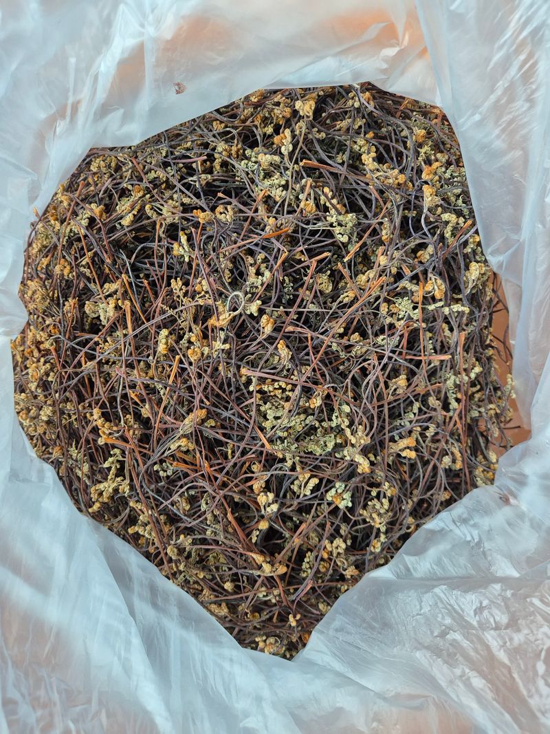 임재문님의 장터 판매 상품 [말린고사리 1.5kg] 첨부 사진