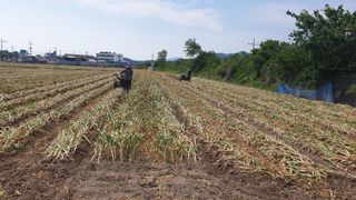 권재술님의 🎉상반기 결산 자랑하기 · 참여글 작성글 사진