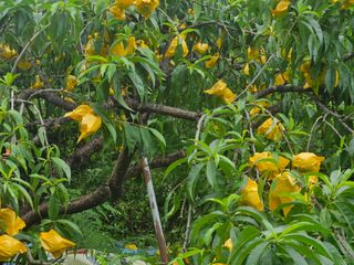 이신님의 🎉상반기 결산 자랑하기 · 참여글 작성글 사진