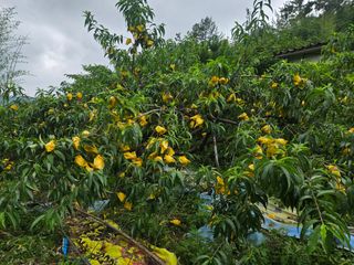 이신님의 🎉상반기 결산 자랑하기 · 참여글 작성글 사진