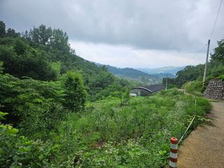 이신님의 🎉상반기 결산 자랑하기 · 참여글 작성글 사진