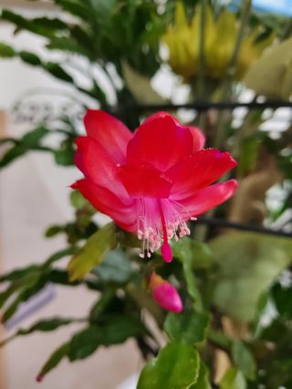 상추10847님의 🎉상반기 결산 자랑하기 · 참여글 작성글 사진