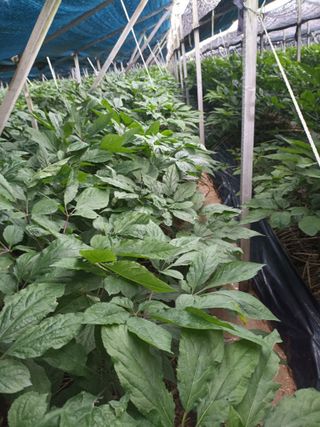 이종원님의 🎉상반기 결산 자랑하기 · 참여글 작성글 사진