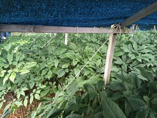 이종원님의 🎉상반기 결산 자랑하기 · 참여글 작성글 사진