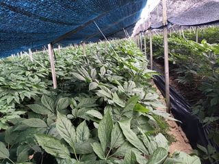 이종원님의 🎉상반기 결산 자랑하기 · 참여글 작성글 사진