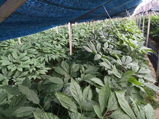 이종원님의 🎉상반기 결산 자랑하기 · 참여글 작성글 사진