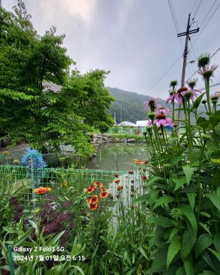 도울농장 이원용님의 🎉상반기 결산 자랑하기 · 참여글 작성글 사진