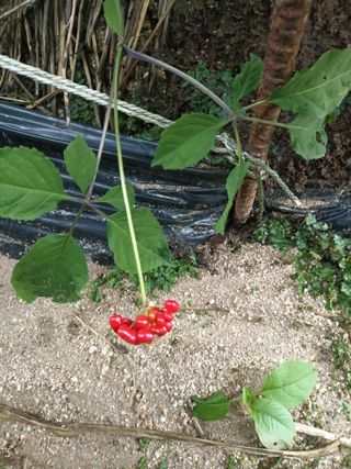 이종원님의 🎉상반기 결산 자랑하기 · 참여글 작성글 사진