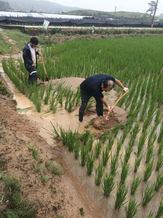 이종원님의 🎉상반기 결산 자랑하기 · 참여글 작성글 사진