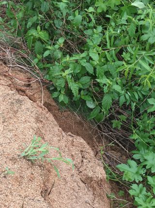 이종원님의 🎉상반기 결산 자랑하기 · 참여글 작성글 사진
