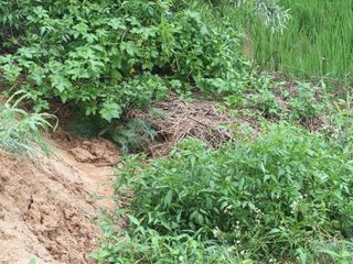 이종원님의 🎉상반기 결산 자랑하기 · 참여글 작성글 사진