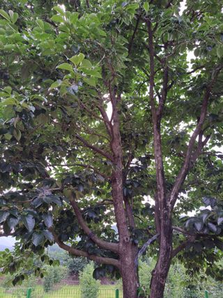 유전아지매님의 자유주제 · 자유게시판 작성글 사진